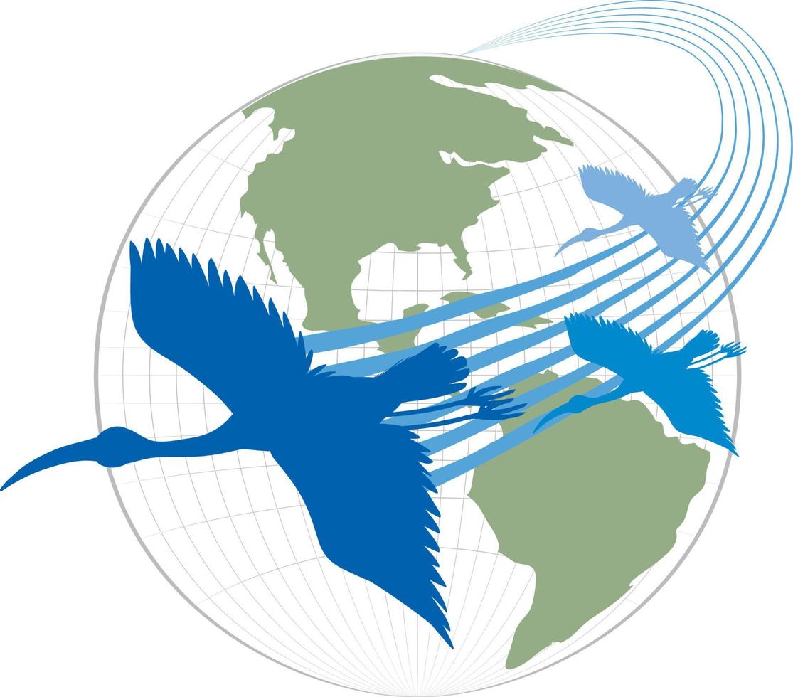 Silhouette stork birds flying on earth vector