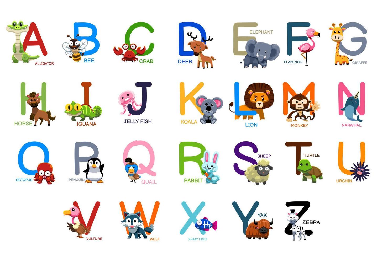 Cute animals alphabet for kids education introduction lesson vector