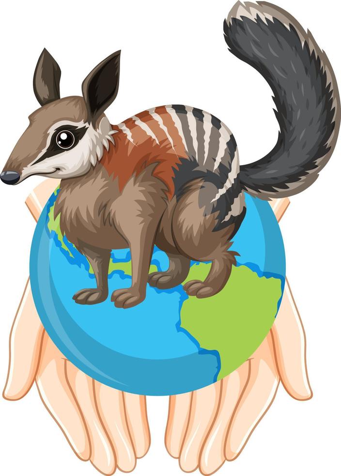 Numbat on earth planet vector