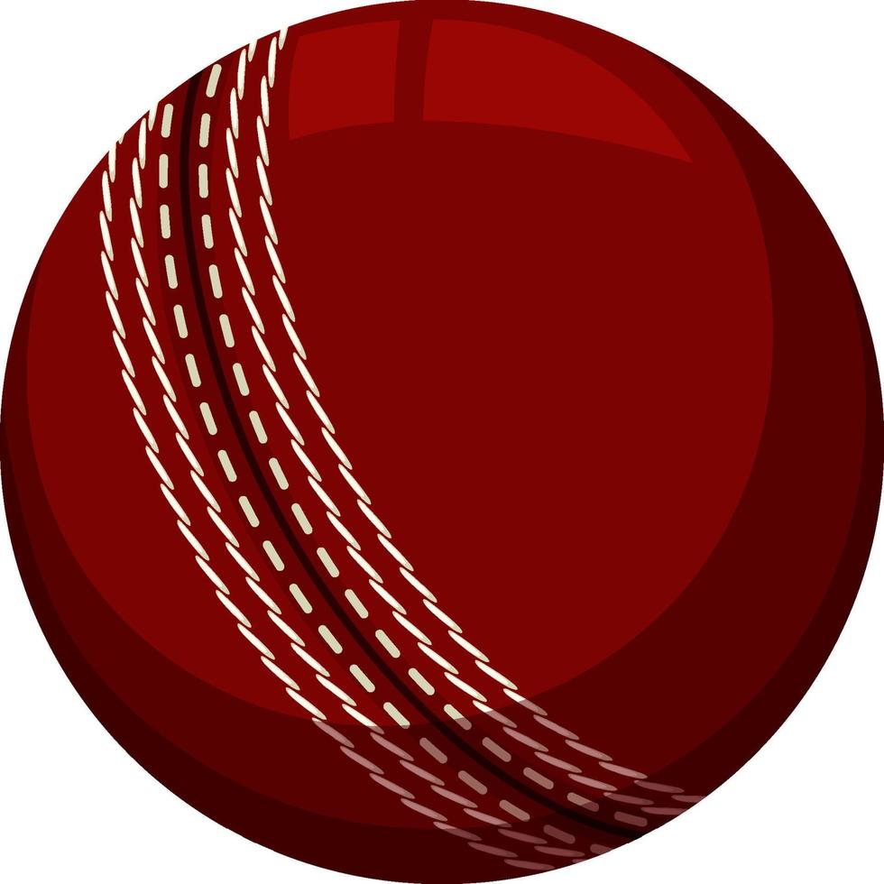 A cricket ball on white background vector