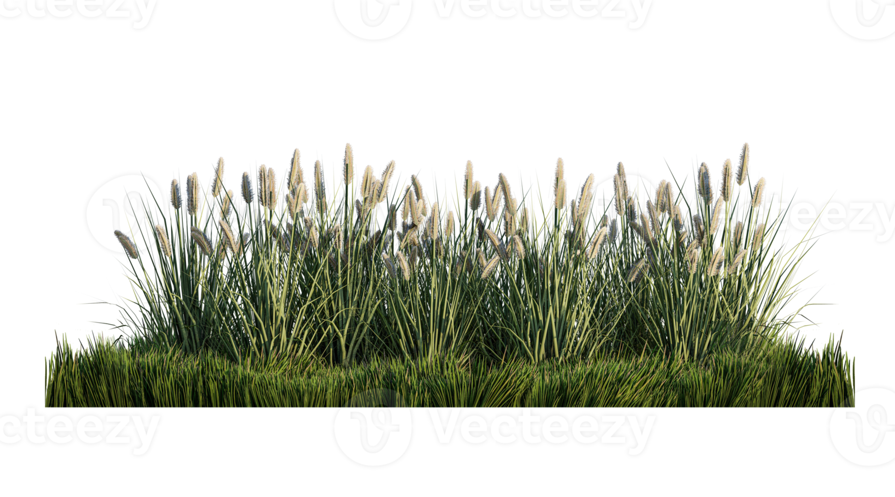 A 3d rendering image of a lot of grass flower on green grass field png