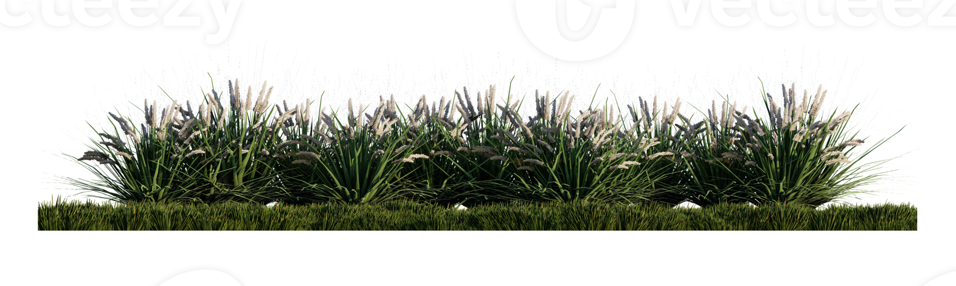 A 3d rendering image of a lot of grass flower on green grass field png