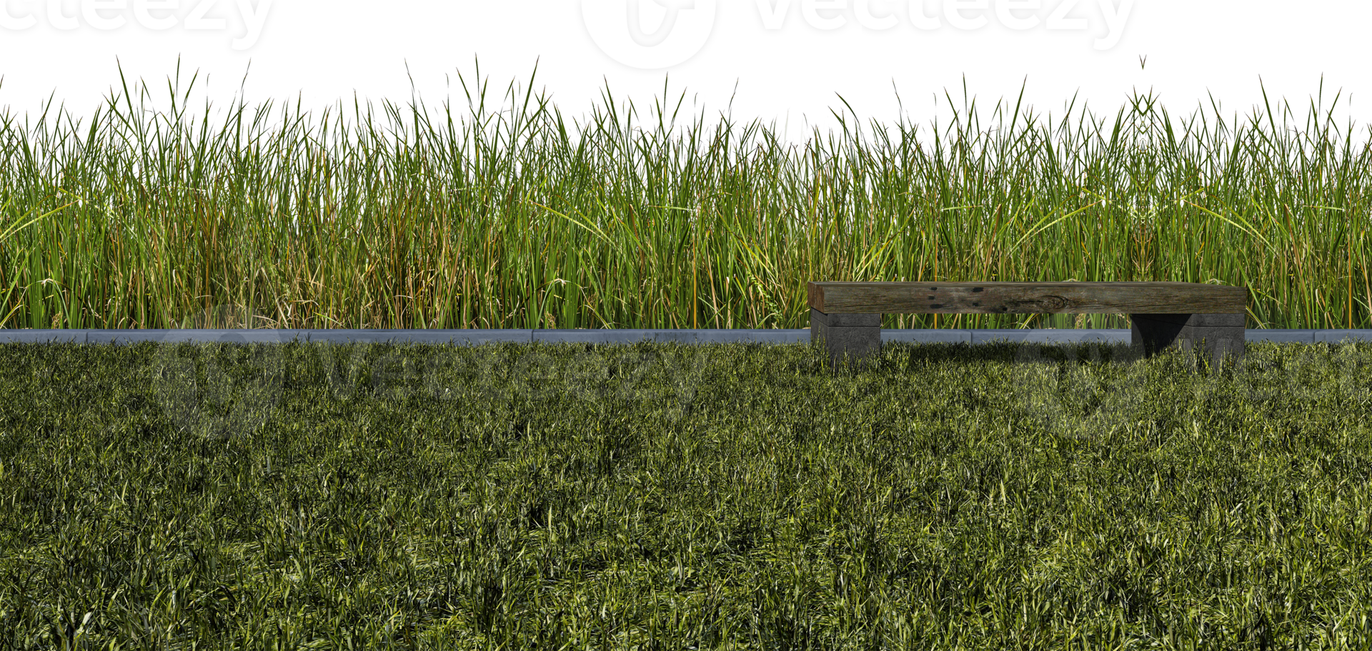3d rendering  green color wild grasses field and sky mockup png