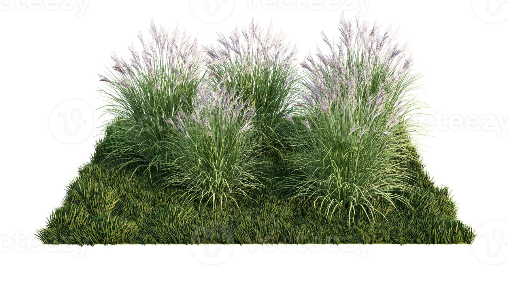 A 3d rendering image of a lot of grass flower on green grass field png