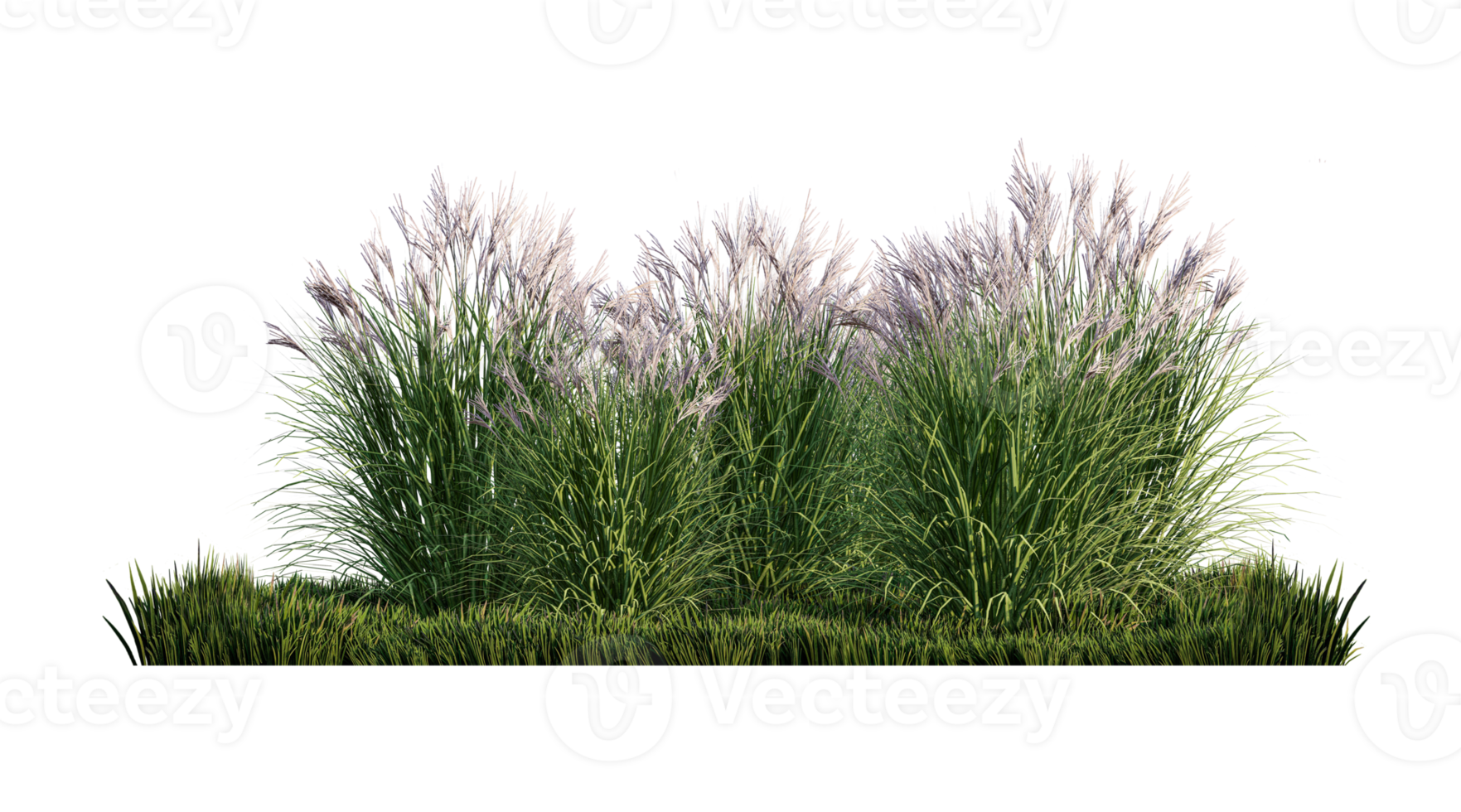 A 3d rendering image of a lot of grass flower on green grass field png