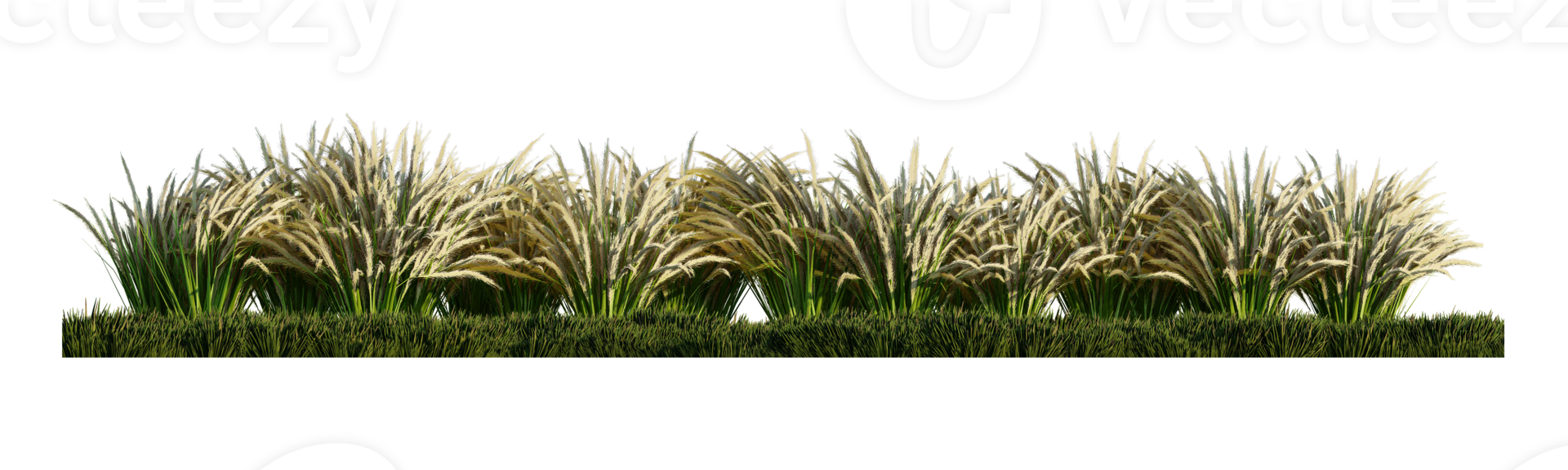 A 3d rendering image of a lot of grass flower on green grass field png