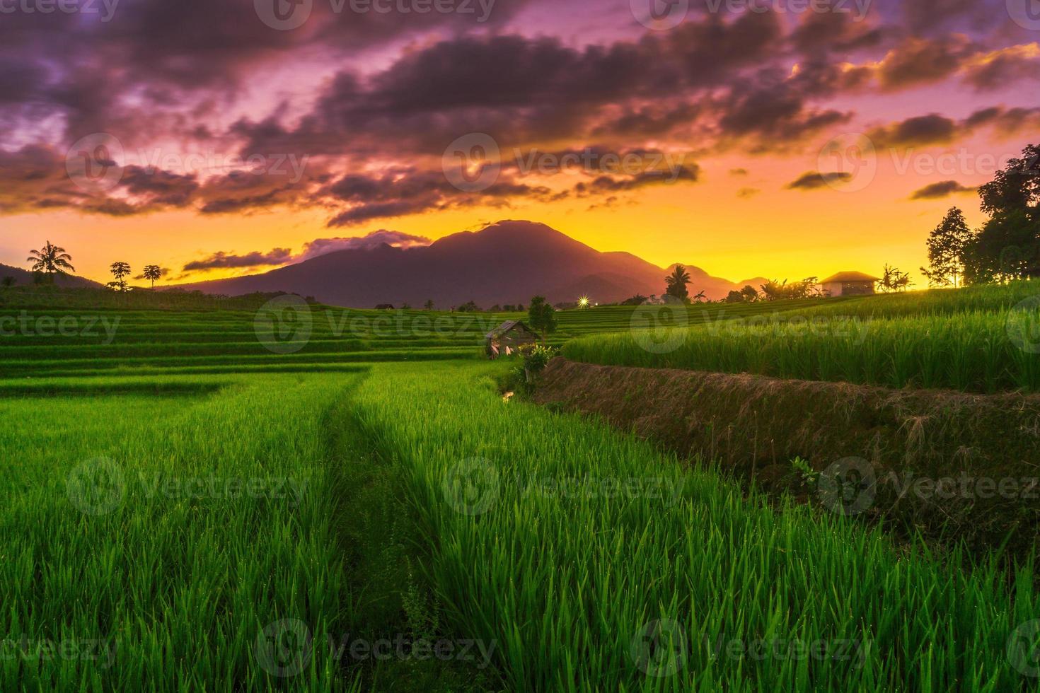 Nature panorama of green rice fields and mountains in Indonesian countryside with sunrise photo