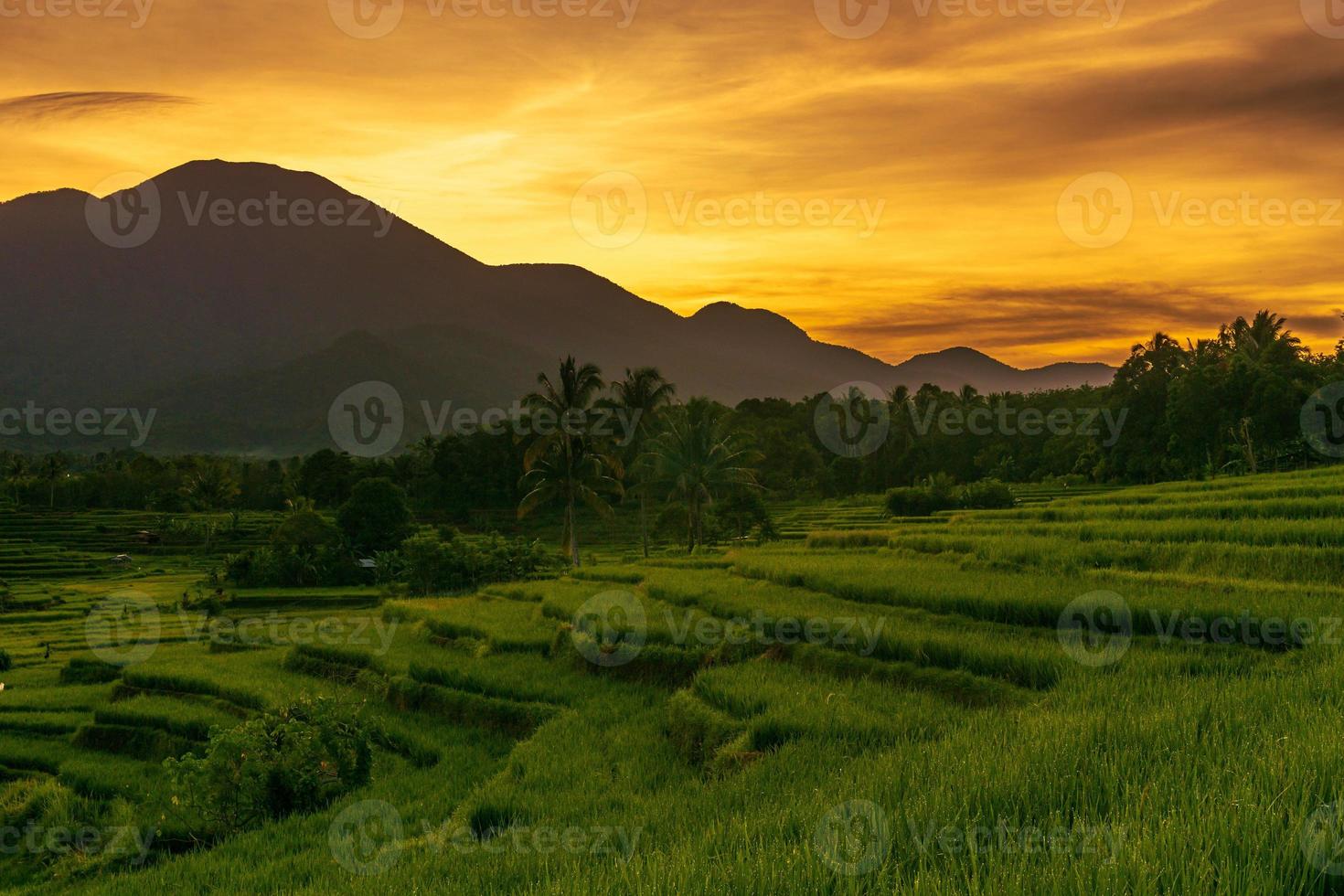 el extraordinario paisaje natural de indonesia. vista del amanecer con la luz del sol saliendo en los campos de arroz foto