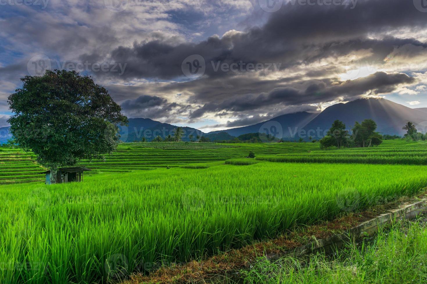 panorama natural de campos de arroz verde y agua que fluye en las montañas de la zona rural de indonesia con amanecer foto