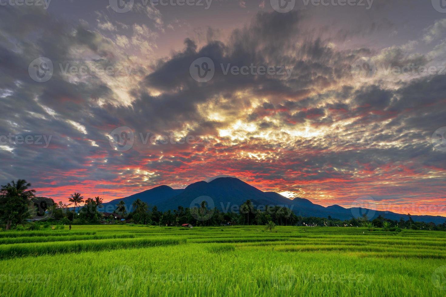 fondo panorámico del hermoso paisaje natural de indonesia. vista matutina con salida del sol sobre los campos de arroz foto