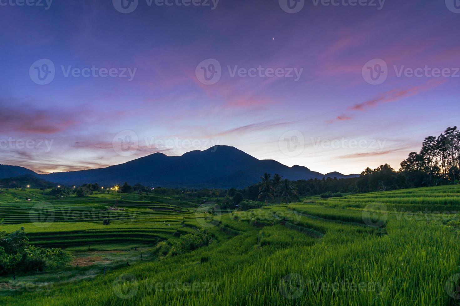 panorama de la belleza natural de asia. amplia vista de los campos de arroz verde en una zona forestal virgen foto