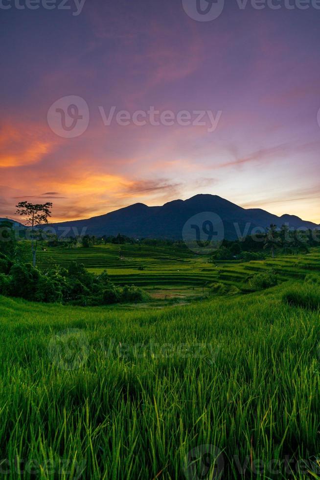 panorama de la belleza natural de asia. hermosa vista de los campos de arroz al amanecer foto