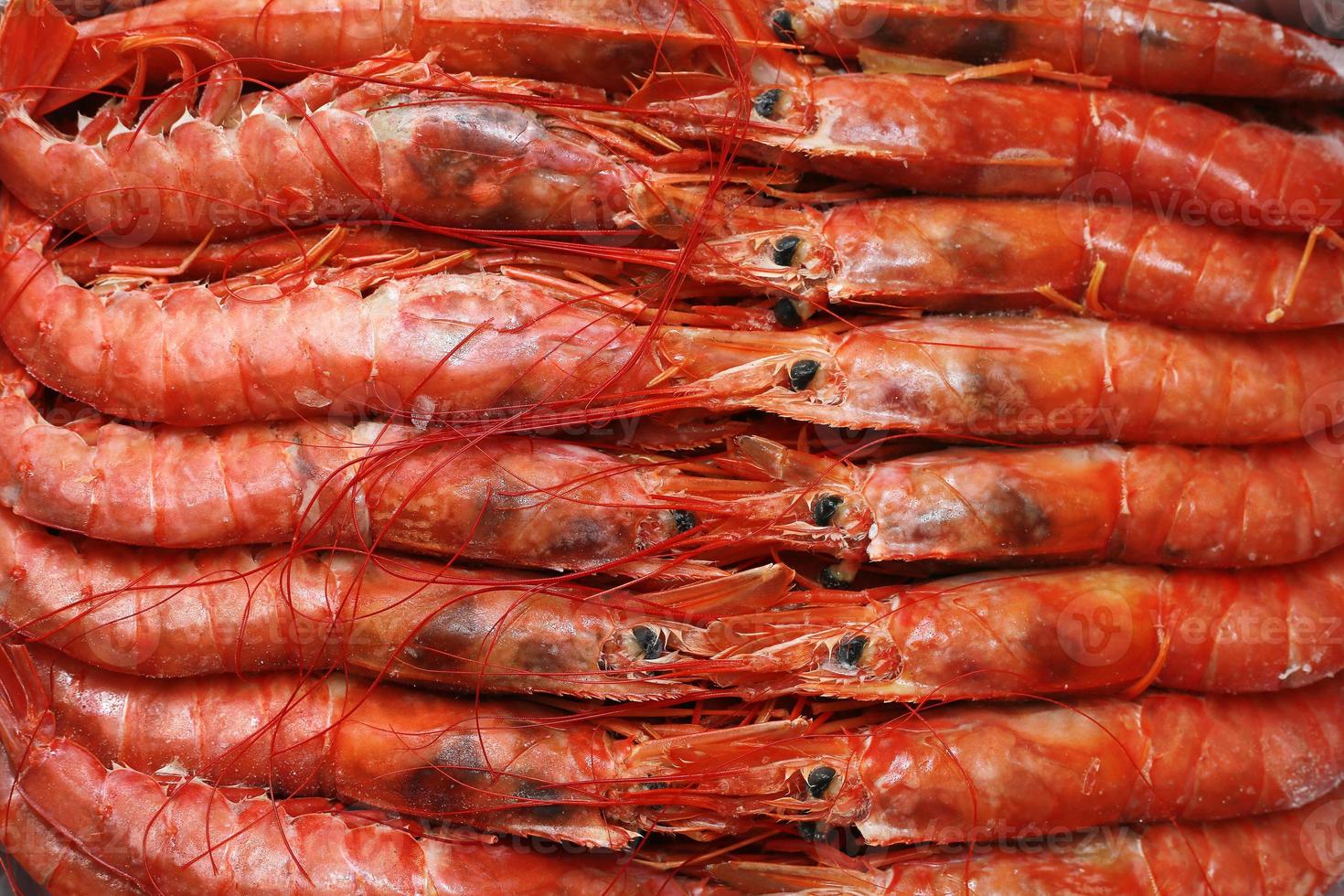 primer plano fresco de langostinos rojos crudos, cigalas norvegicus, cigalas, gambas de la bahía de Dublín o gambas al ajillo. foto