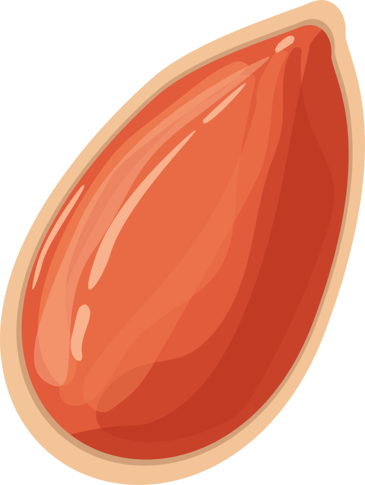 ilustración de diseño de imágenes prediseñadas de nueces y cacahuetes png