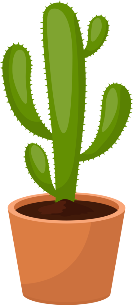 cactus clipart conception illustration png