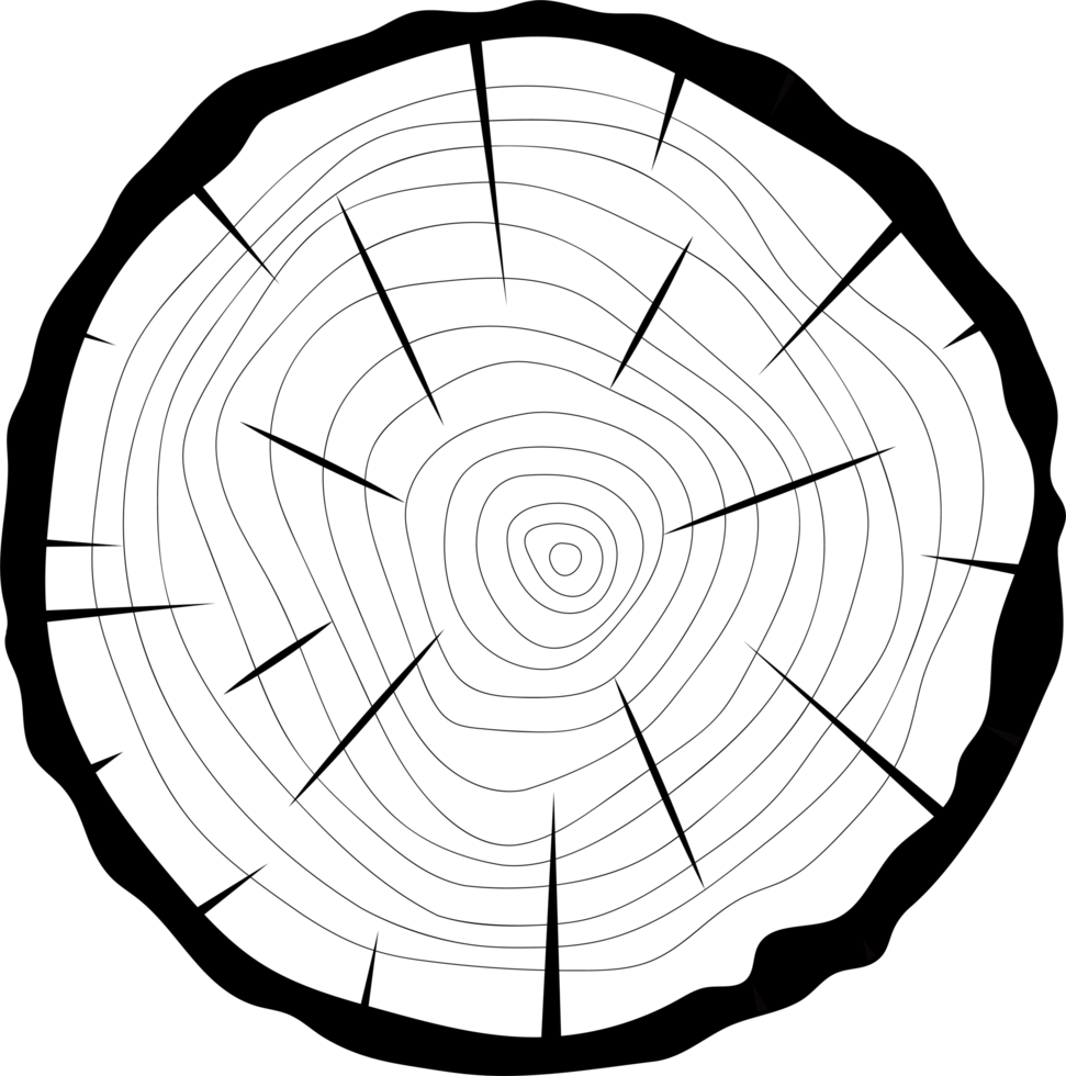 Cross section of wooden tree clipart design illustration png