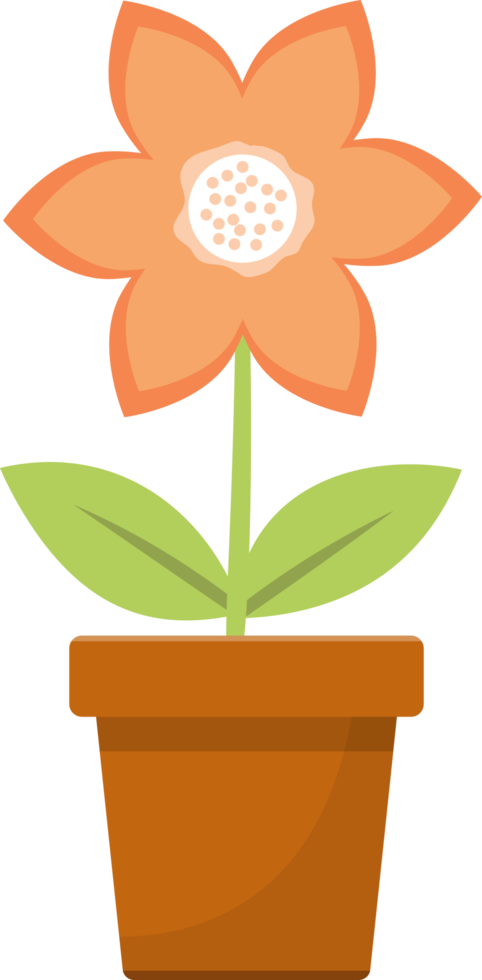 Flower in pot clipart design illustration png