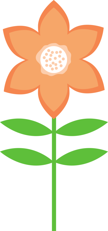 Beautiful flowers clipart design illustration png