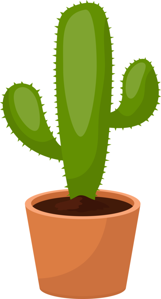 Cactus clipart design illustration png