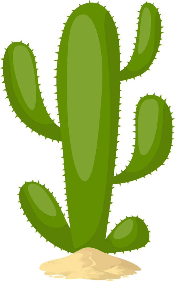 Cactus clipart design illustration png