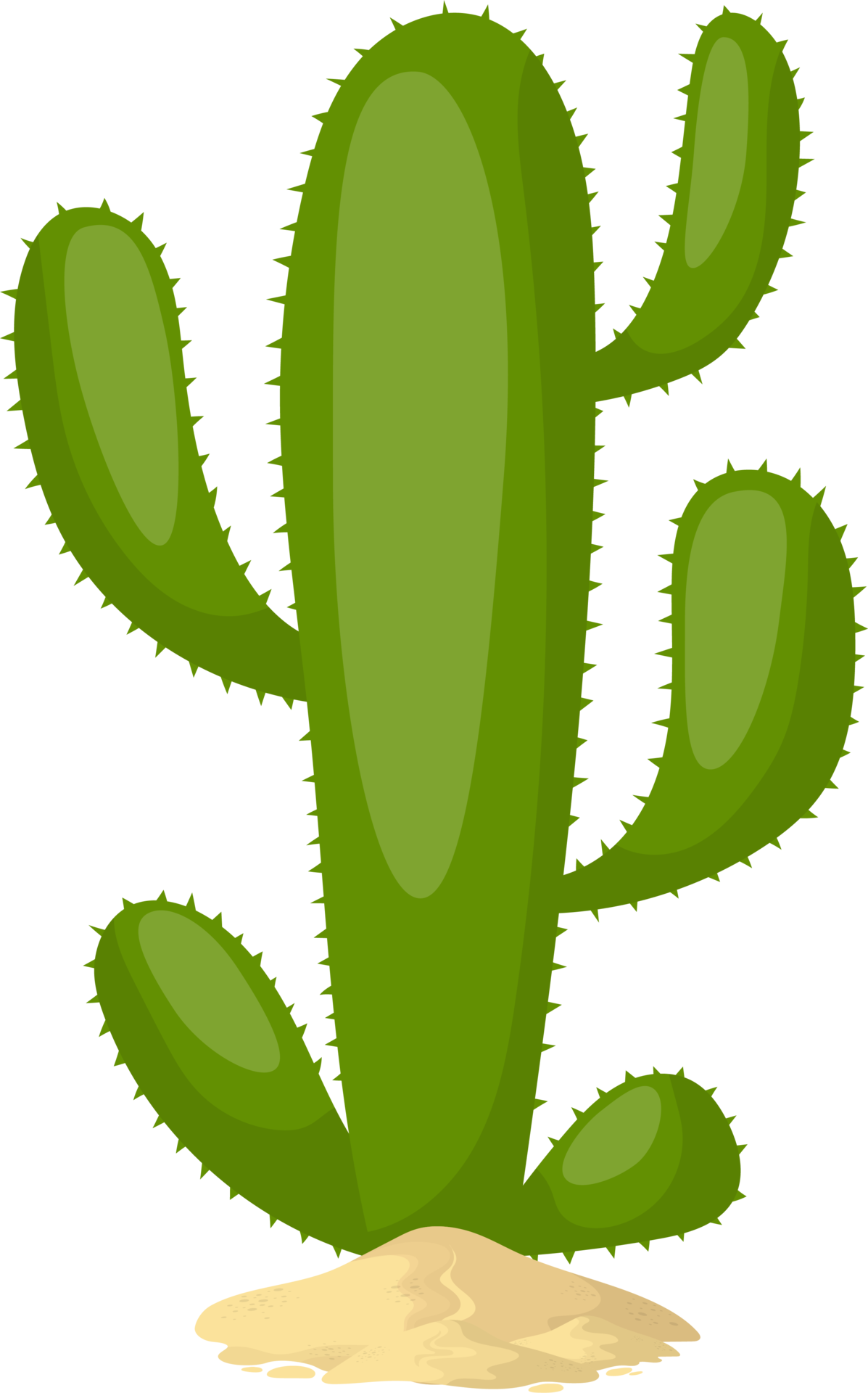 Succulent plant Cactus graphics Ilustração, cacto, planta suculenta, cacto  png