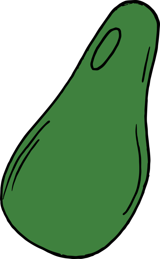 dibujado a mano frutas clipart diseño ilustración png