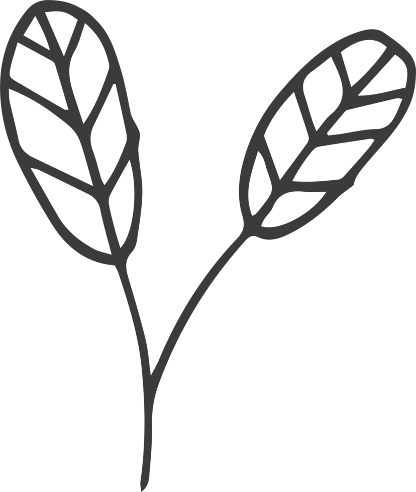 Hand drawn flower clipart design illustration png