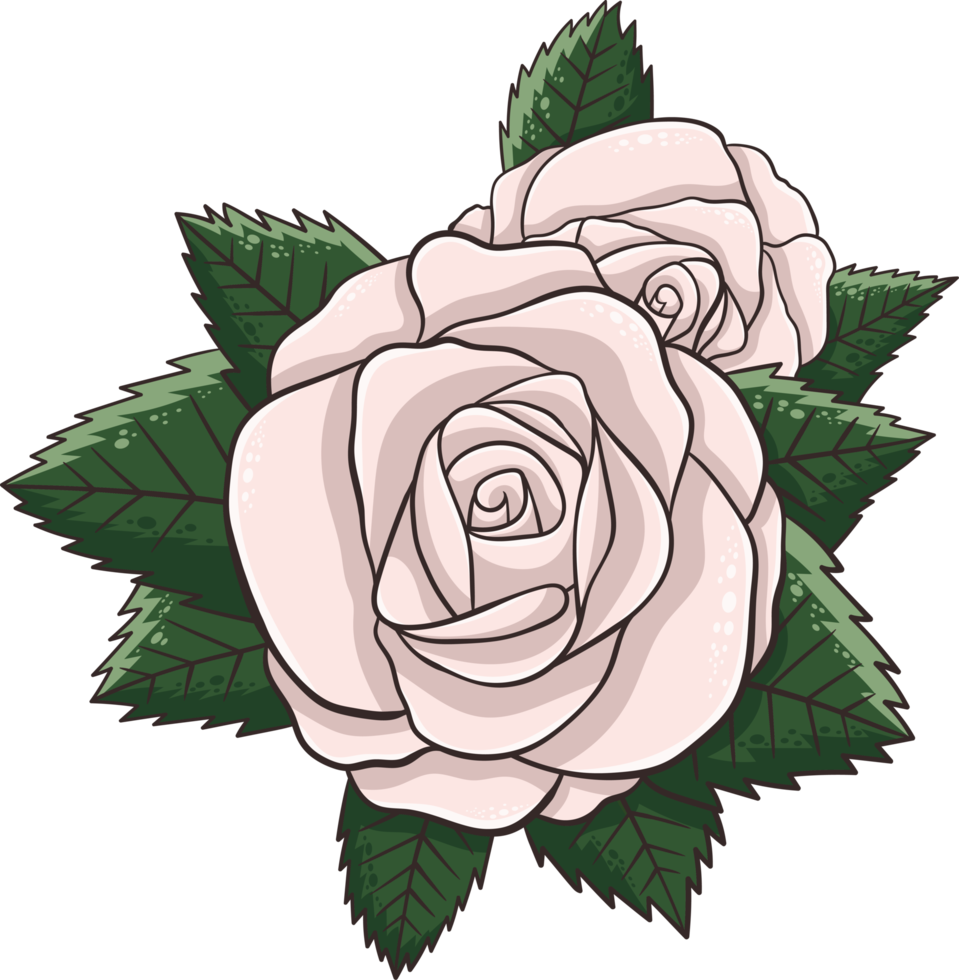 Rose flower clipart design illustration png