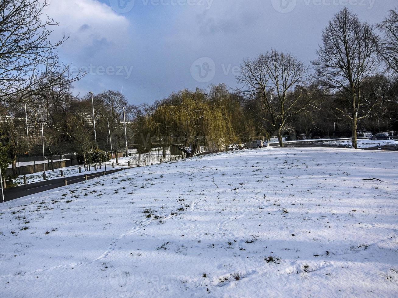 Trees and Vegetation in Winter on Snow in a Parc photo