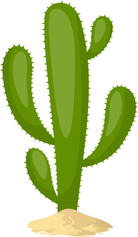 Cactus Clipart Transparent PNG Hd, Cactus Icon Design Illustration