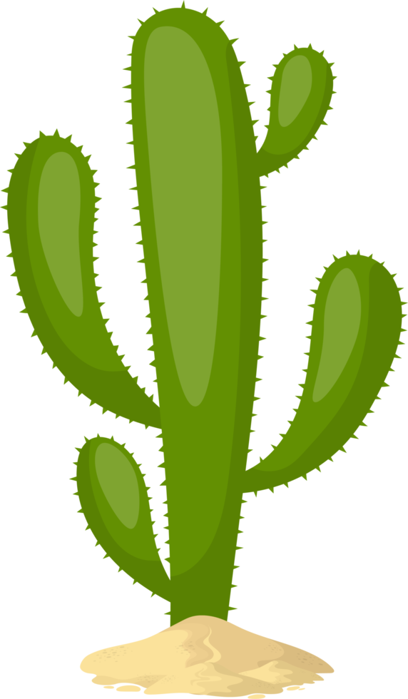 Cactus Clipart Transparent PNG Hd, Cactus Icon Design Illustration