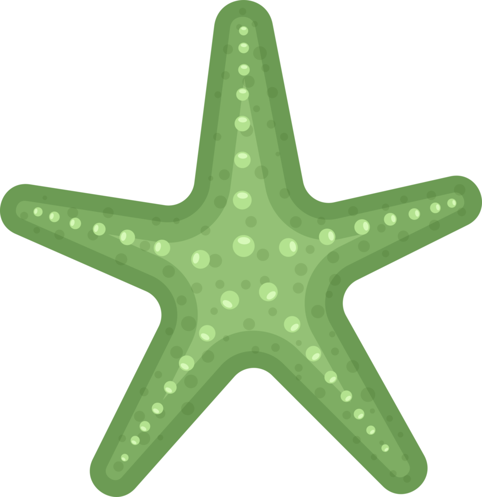 ilustración de diseño de imágenes prediseñadas de estrellas de mar png