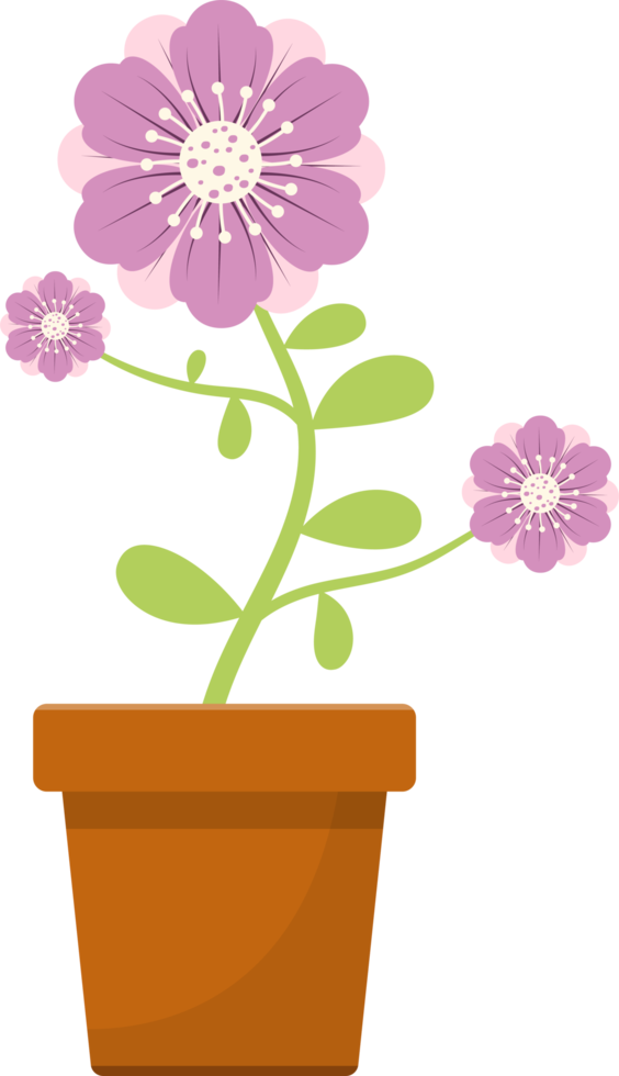 Flower in pot clipart design illustration png