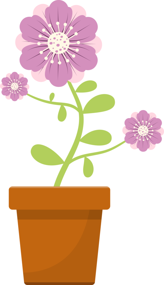 blume im topf clipart design illustration png