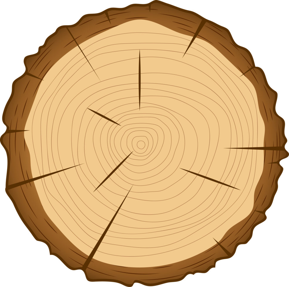 sección transversal de la ilustración de diseño de clipart de árbol de madera png