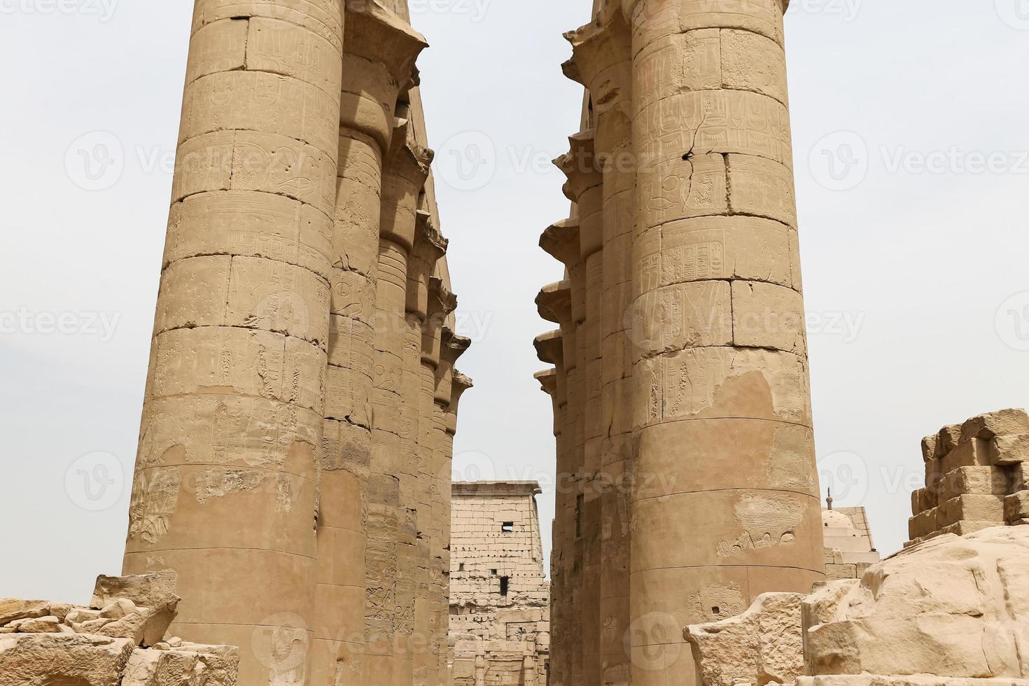 Columns in Luxor Temple, Luxor, Egypt photo