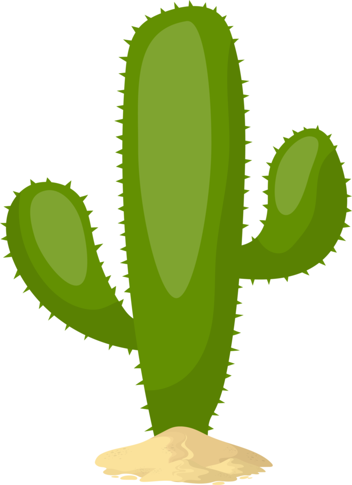 Cactus clipart design illustration png