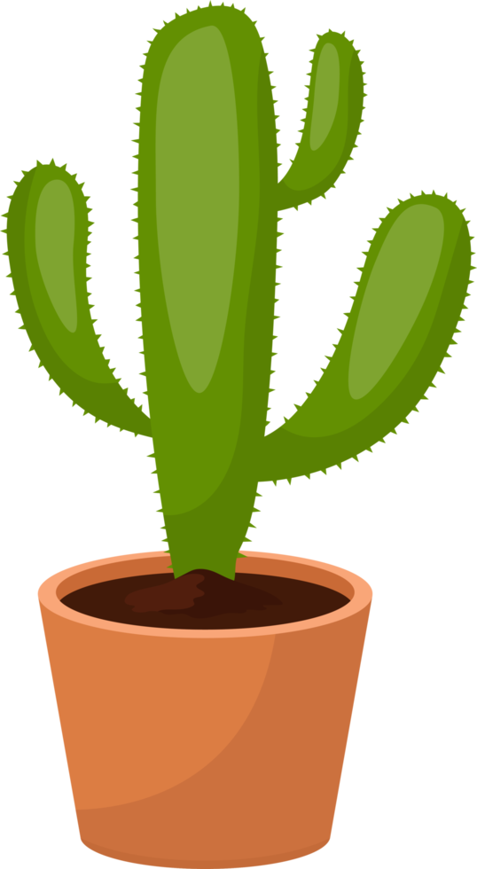 cactus clipart ontwerp illustratie png