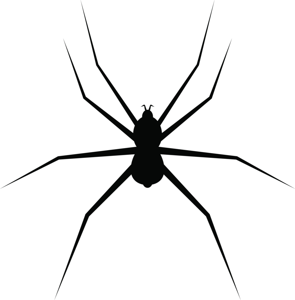 Ilustración de diseño de imágenes prediseñadas de araña png