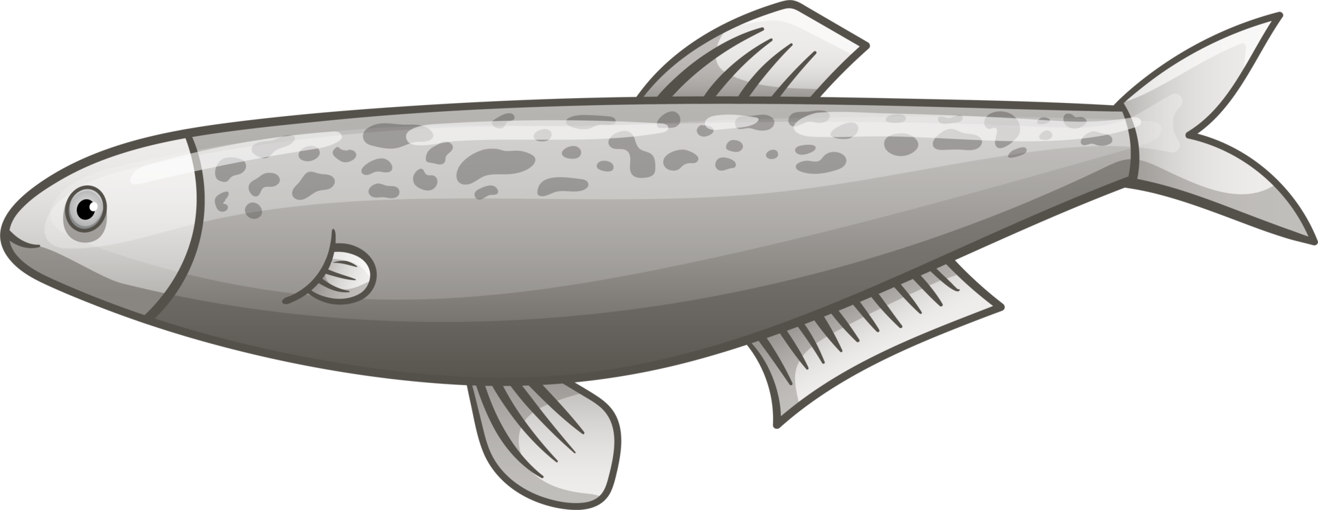 Fish drawing clipart design illustration png