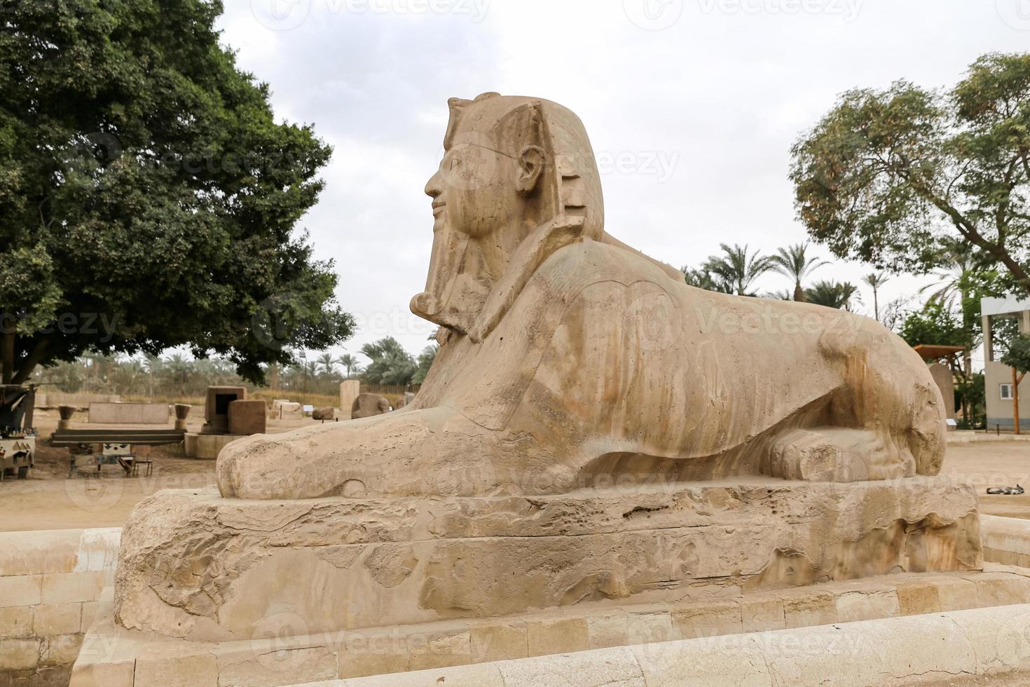 Sphinx in Memphis, Cairo, Egypt photo