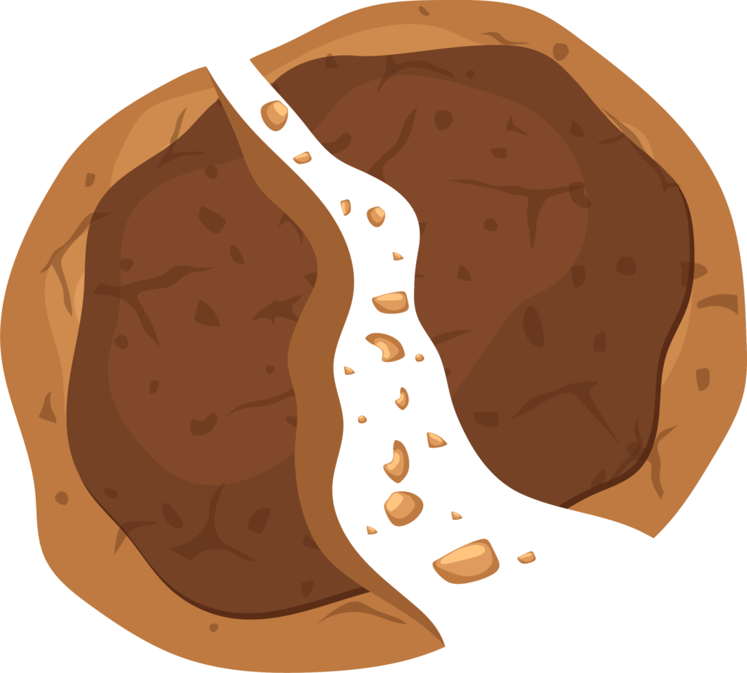 zelfgemaakte smakelijke koekjes clipart ontwerp illustratie png