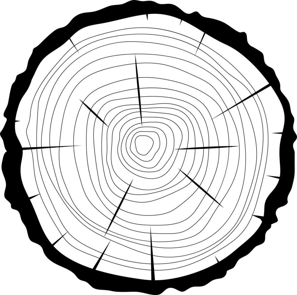 seção transversal da ilustração de design de clipart de árvore de madeira png