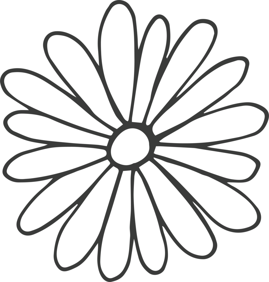 Hand drawn flower clipart design illustration png