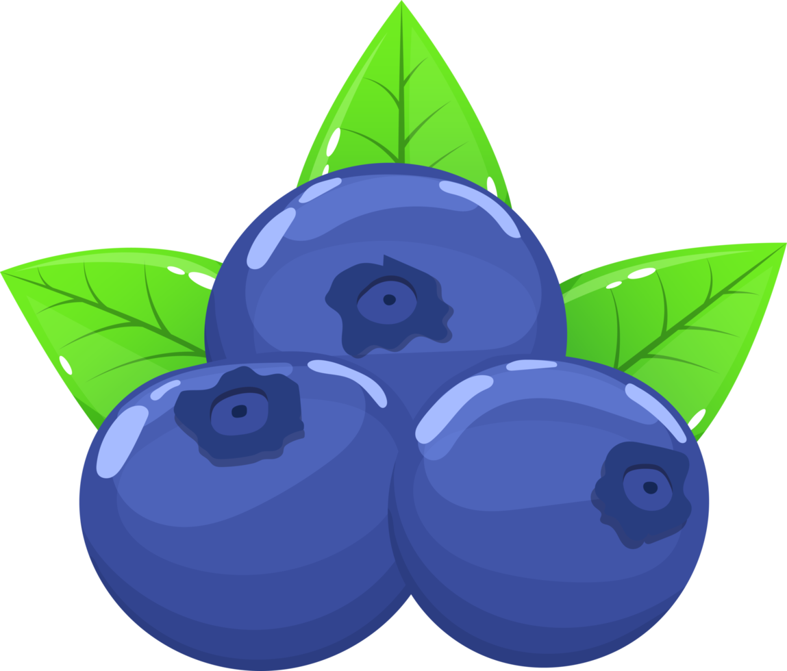 Blueberry clipart design illustration png