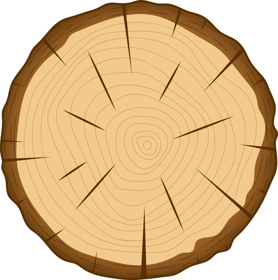 Cross section of wooden tree clipart design illustration png