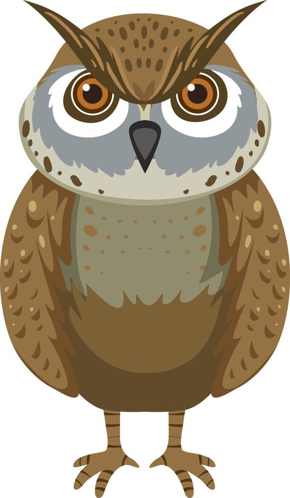Front of owl in cartoon style vector
