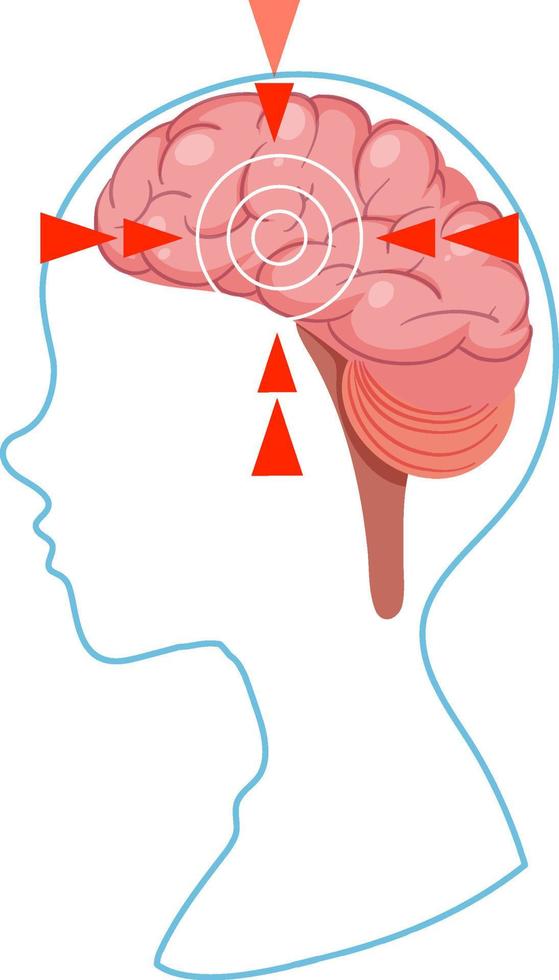 vector aislado del cerebro humano