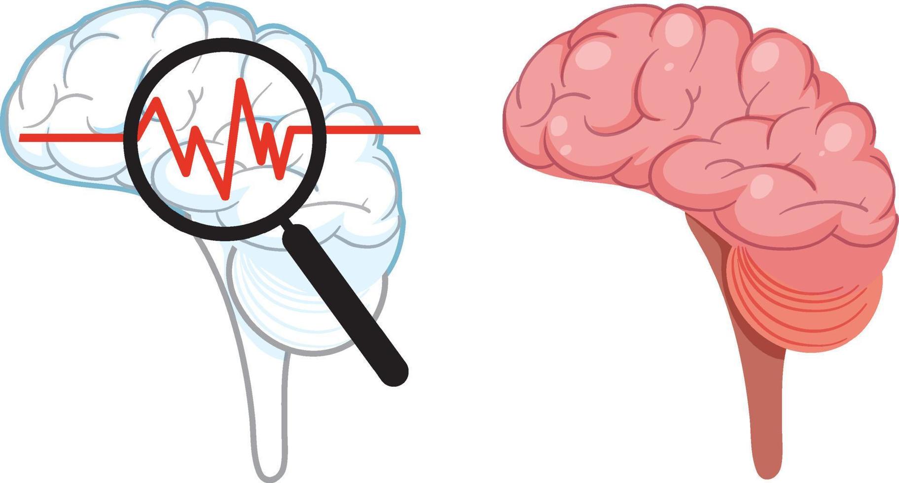 vector aislado del cerebro humano