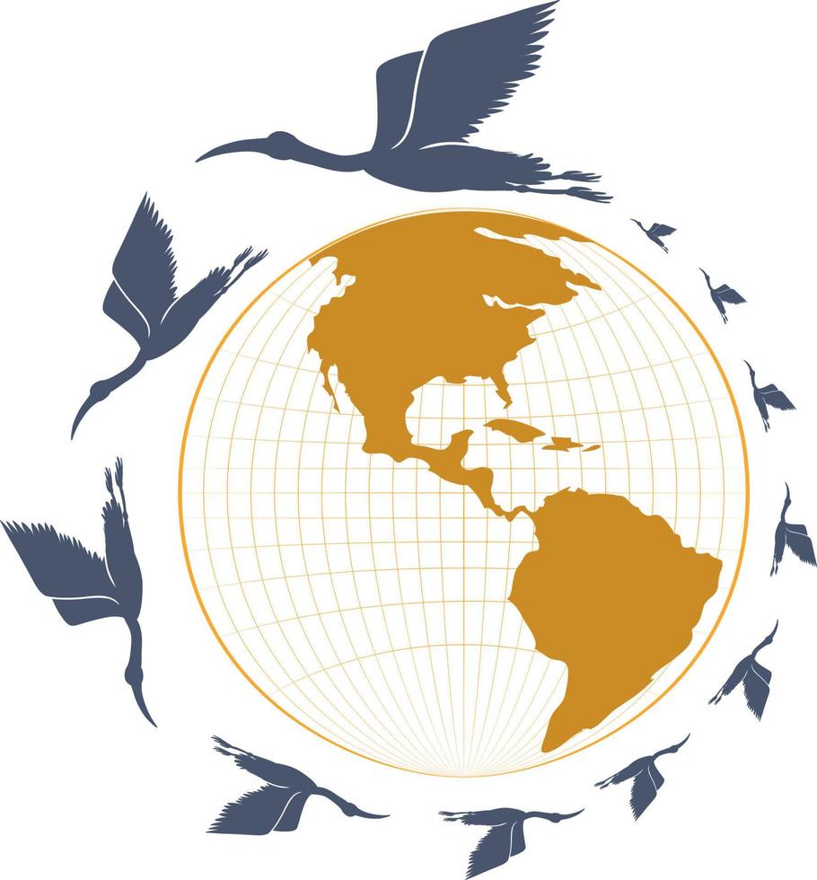 Silhouette stork birds flying around earth planet vector